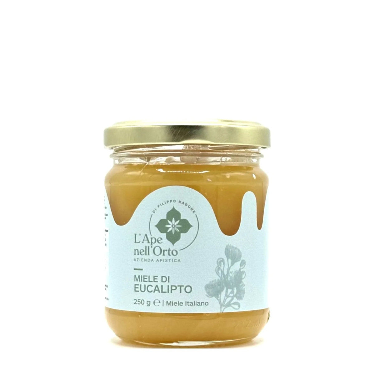 Miele di eucalipto